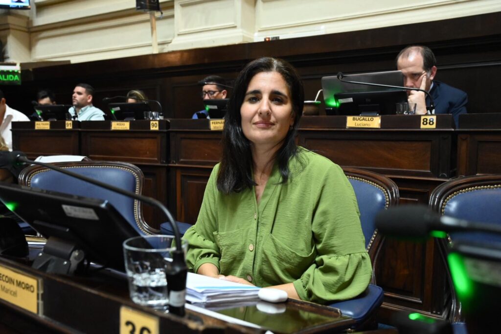 La diputada Maricel Etchecoin presentó un proyecto contra la gestión de Atanasof.