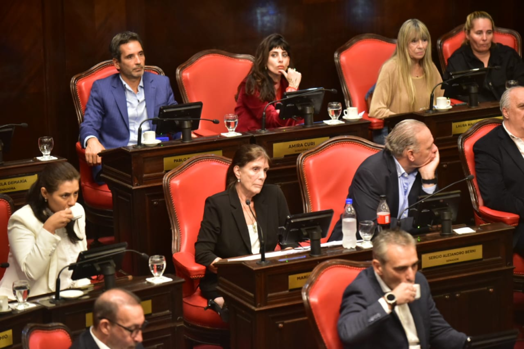 La jefa de la bancadade Unión por la Patria (UxP), Teresa García, durante el debate por la suspensión de las PASO.