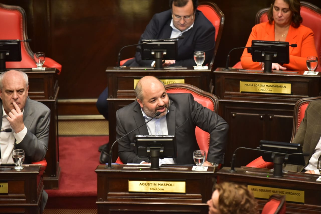 El jefe de la bancada de la UCR + Cambio Federal, Agustín Maspoli, durante el debate por la suspensión de las PASO.