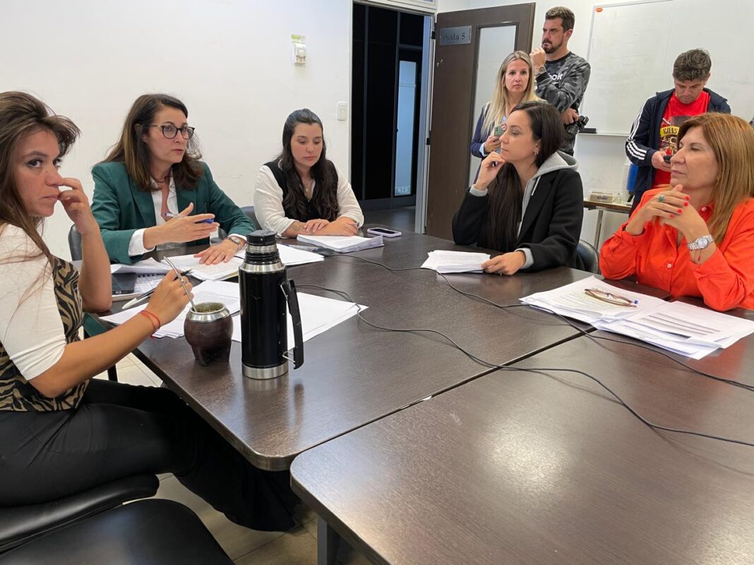 La comisión de Asuntos Culturales de la Cámara de Diputados bonaerense despachó un proyecto que limita quiénes pueden ser personalidad destacada.