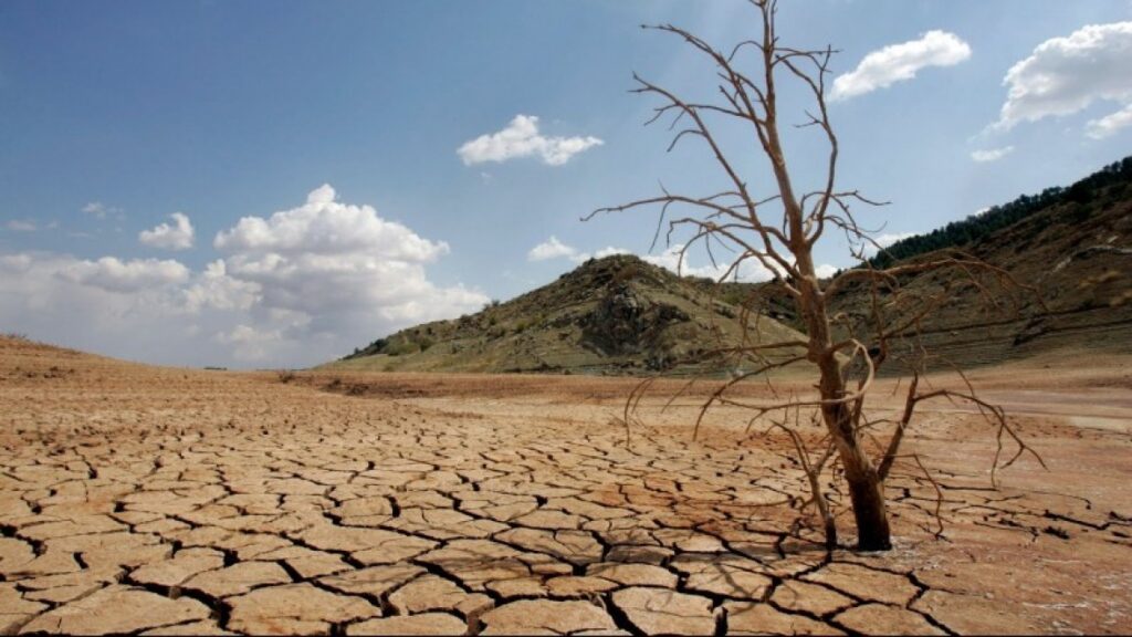 Los municipios alcanzados por la "emergencia agropecuaria", están comprendidos en la "zona de secano" del sudoeste bonaerense, una región históricamente vulnerable a los fenómenos de sequía. 