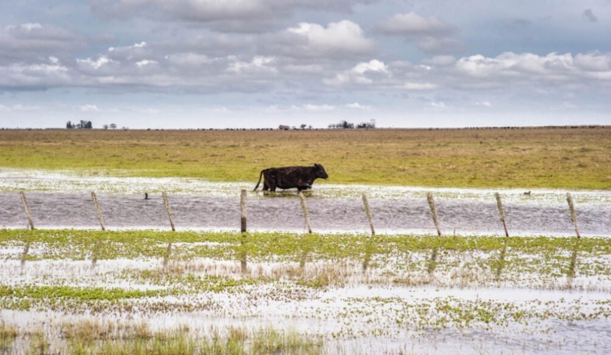El diputado del PRO, Martín Endere, alertó por la situación de los productores rurales en cinco municipios de la Séptima sección y le pidió al Ejecutivo que declare la emergencia agropecuaria.