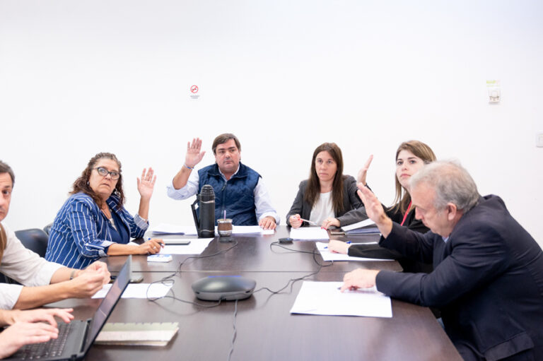 La comisión de Reforma Política y del Estado este martes abre el debate acerca de los polémicos plazos electorales