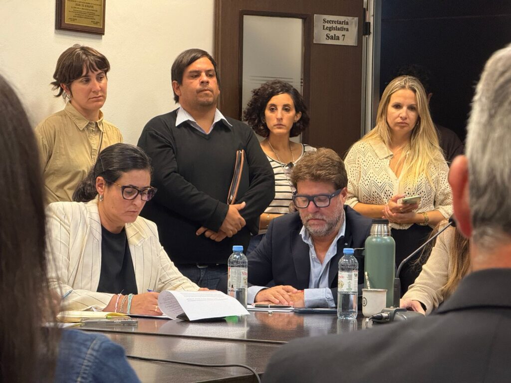 El radicalismo y La Cámpora empujaron un proyecto para condonar las deudas del Fondo Covid.
