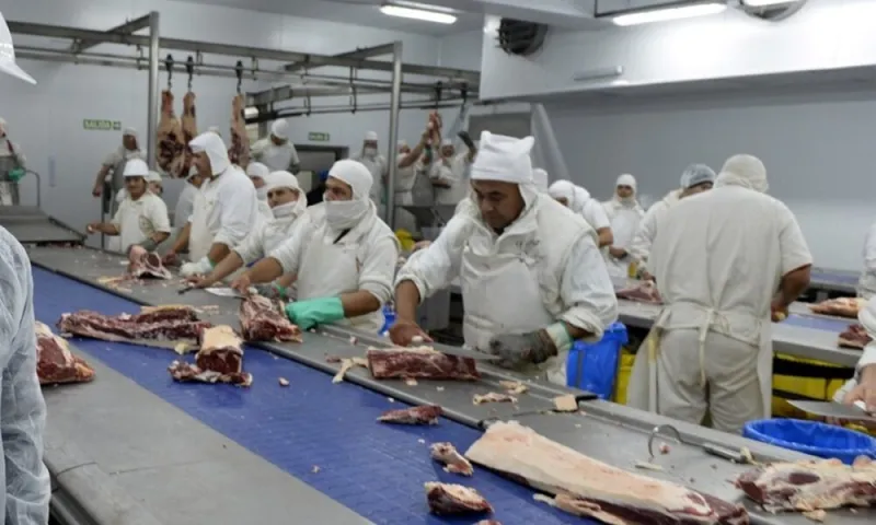 Al menos 100 empleados fueron desvinculados de la empresa frigorífica, Devesa Azul Natural Beef.