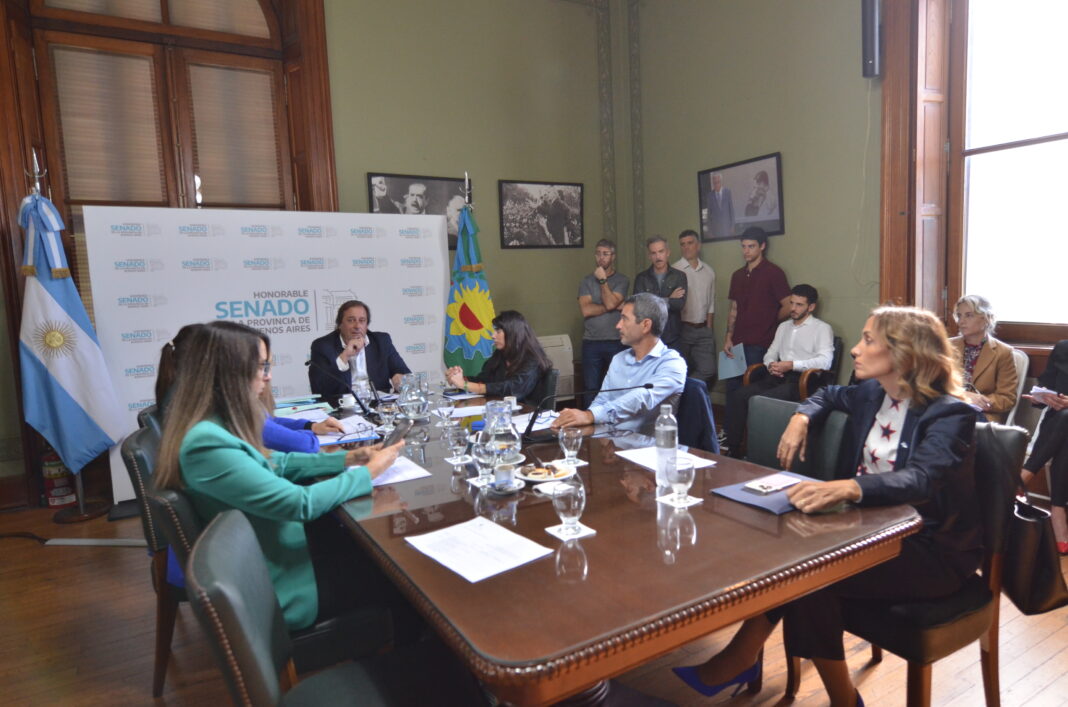 A los ponchazos, senadores de Unión por la Patria dictaminaron un proyecto de ley para volver a habilitar las reelecciones indefinidas.