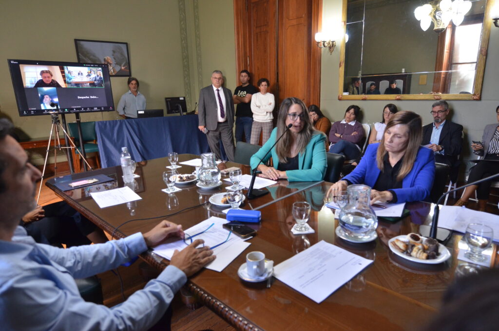 A excepción de Kikuchi, el proyecto de reelecciones indefinidas fue rechazado por todo el arco opositor.