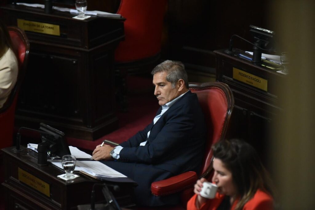 Plazos Electorales: el presidente del bloque libertario dialoguista en el Senado, Sergio Vargas.