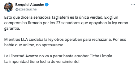 Un puñado de legisladores bonaerenses repudiaron el rechazo al proyecto de Ficha Limpia que se dio en la jornada en el Senado de la Nación.