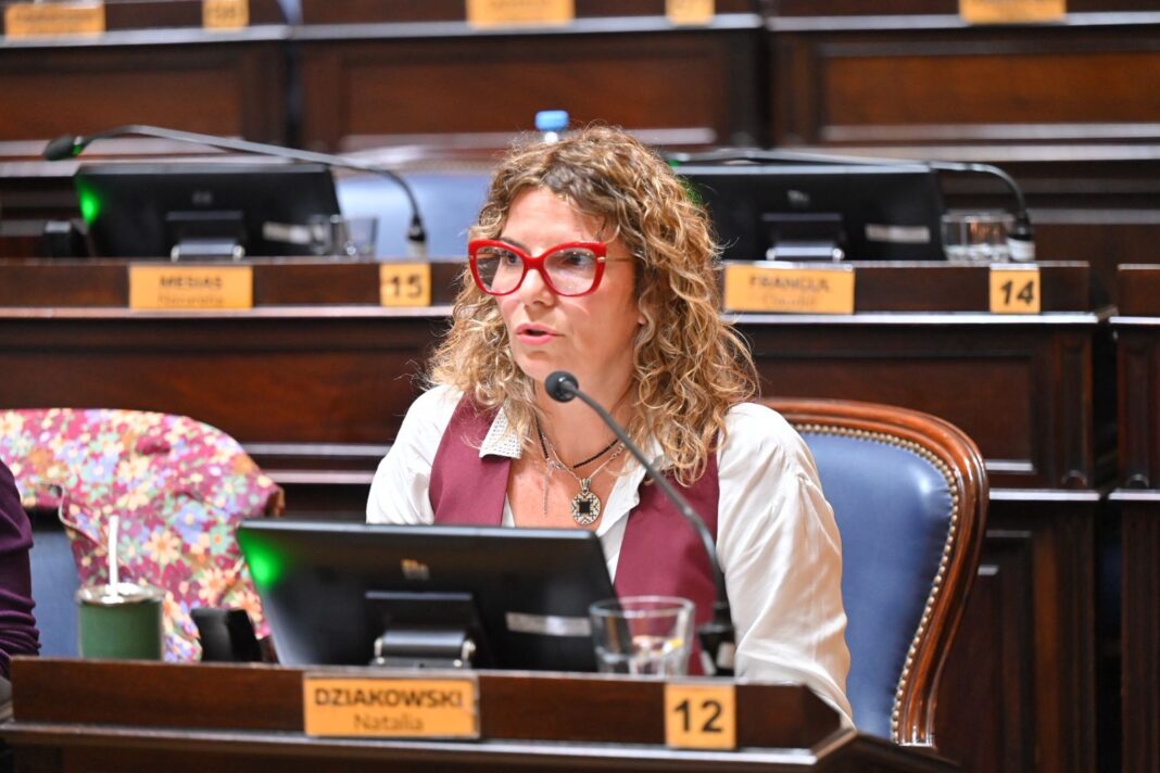 La diputada del GEN, Natalia Dziakowski, cuestionó la caída de su proyecto para que ARCA ayude financieramente a las pymes de Bahía Blanca.