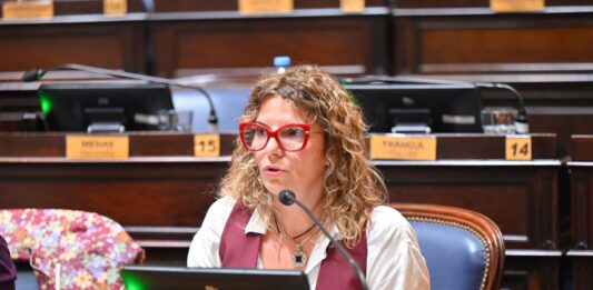 La diputada del GEN, Natalia Dziakowski, cuestionó la caída de su proyecto para que ARCA ayude financieramente a las pymes de Bahía Blanca.