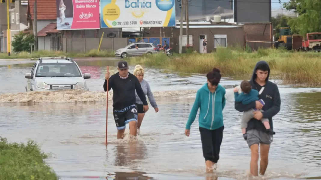 La senadora Nerina Neumann exige que Provincia Seguros se haga cargo de los damnificados por el temporal en Bahía Blanca.
