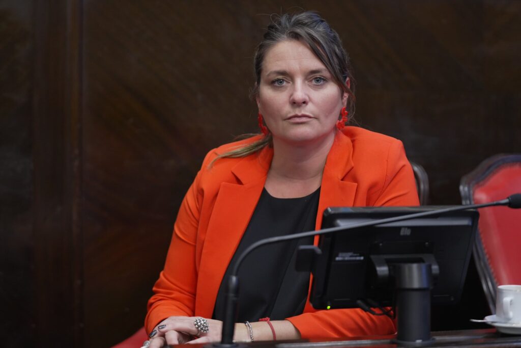La senadora de la UCR, Nerina Neumann, le solicita al Ejecutivo de Axel Kicillof que avance con la mejora de la señalética en las rutas bonaerenses.