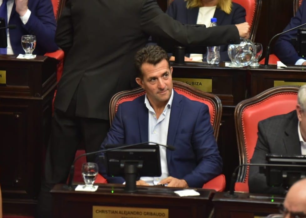 Susana González criticó Christian Gribaudo, fallido candidato a presidente de Boca Juniors.
