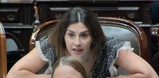 Un importante puñado de Colegios profesionales repudiaron enérgicamente el proyecto libertario de Marcela Pagano que busca su eliminación.