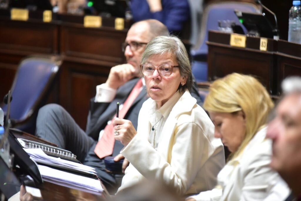 La diputada Belén Malaisi es la autora del proyecto para declarar ciudadano ilustre al escritor Dardo Dorronzoro.