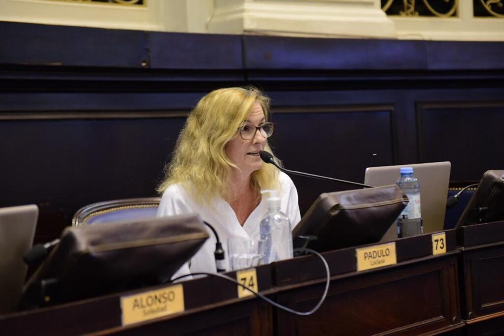 En su cuarta sesión del año, el Senado sancionó el proyecto de la legisladora Luciana Padulo que modifica la ESI para incorporar el grooming en las escuelas. 