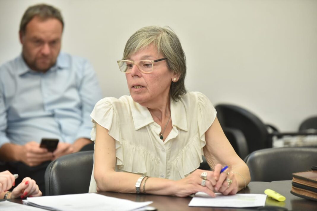 Con críticas a las políticas del Gobierno nacional, la diputada Belén Malaisi salió a alertar por los despidos y el cierre de empresas en la provincia.