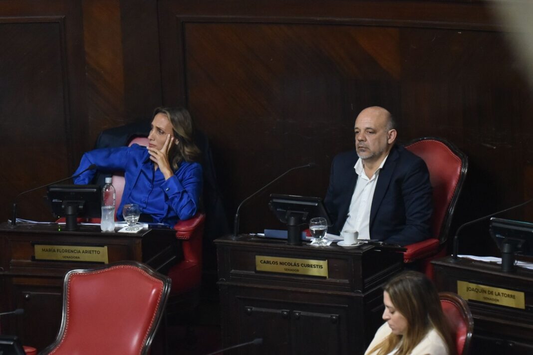 El bloque de senadores de La Libertad Avanza salió a apoyar la reforma migratoria impulsada por el presidente Javier Milei.