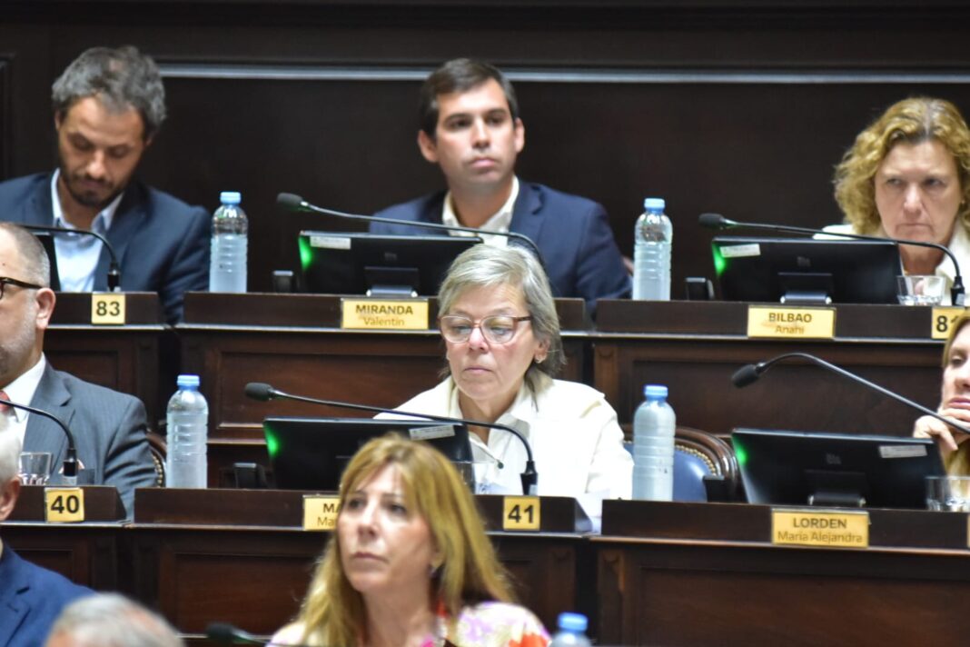 La diputada Belén Malaisi sostuvo que el DNU de Milei “avasalla el federalismo