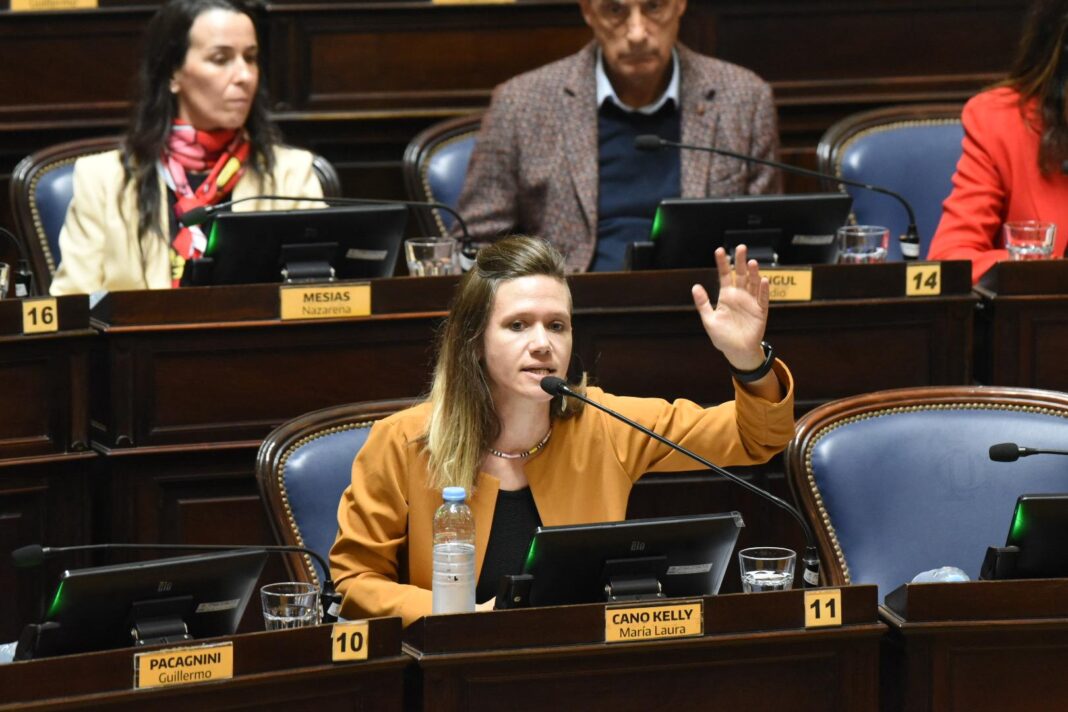La diputada bonaerense del FITU, Laura Cano, repudió la represión policial en un comedor de Quilmes que terminó con un nene de 10 años baleado.