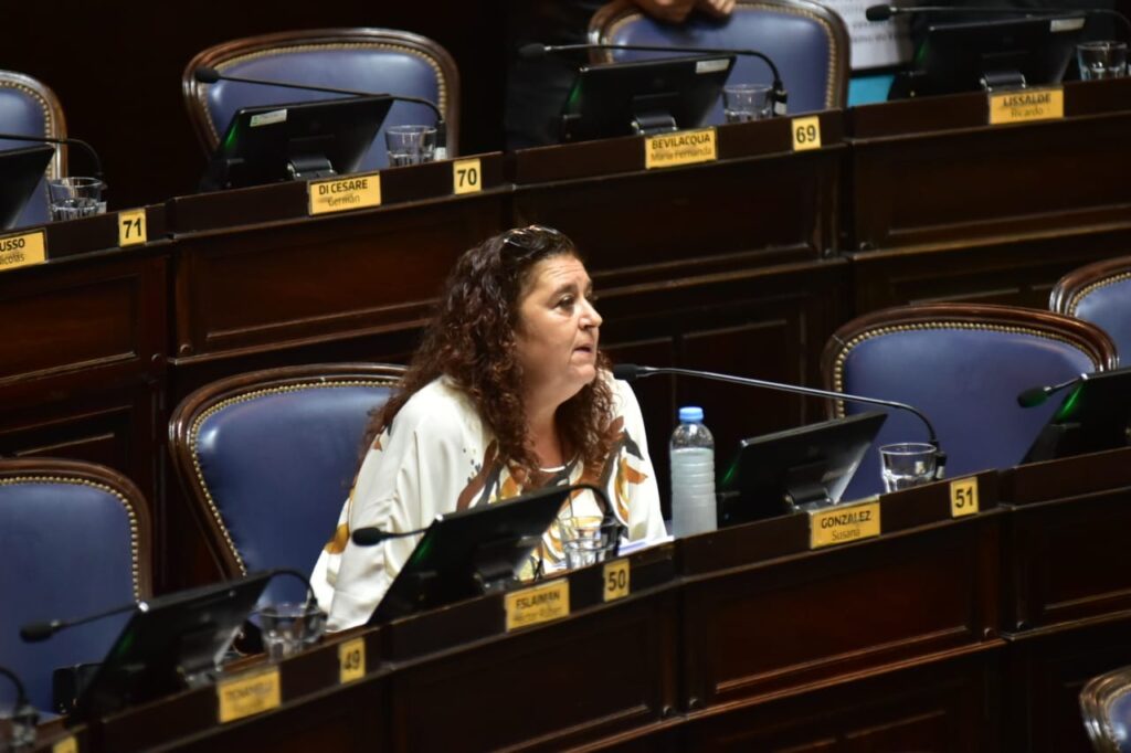 La diputada Susana González consideró que el DNU de Milei avasalla derechos constitucionales.