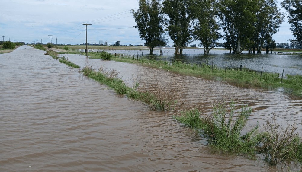 Kicillof declaró la emergencia agropecuaria en 12 nuevos distritos afectados por las inundaciones de mayo.