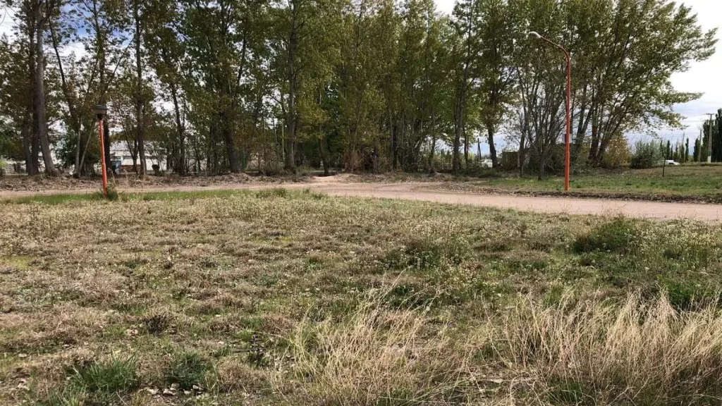 La ley actual autoriza a los municipios a otorgar permisos de uso sobre tierras fiscales, pero con límites en el destino productivo.