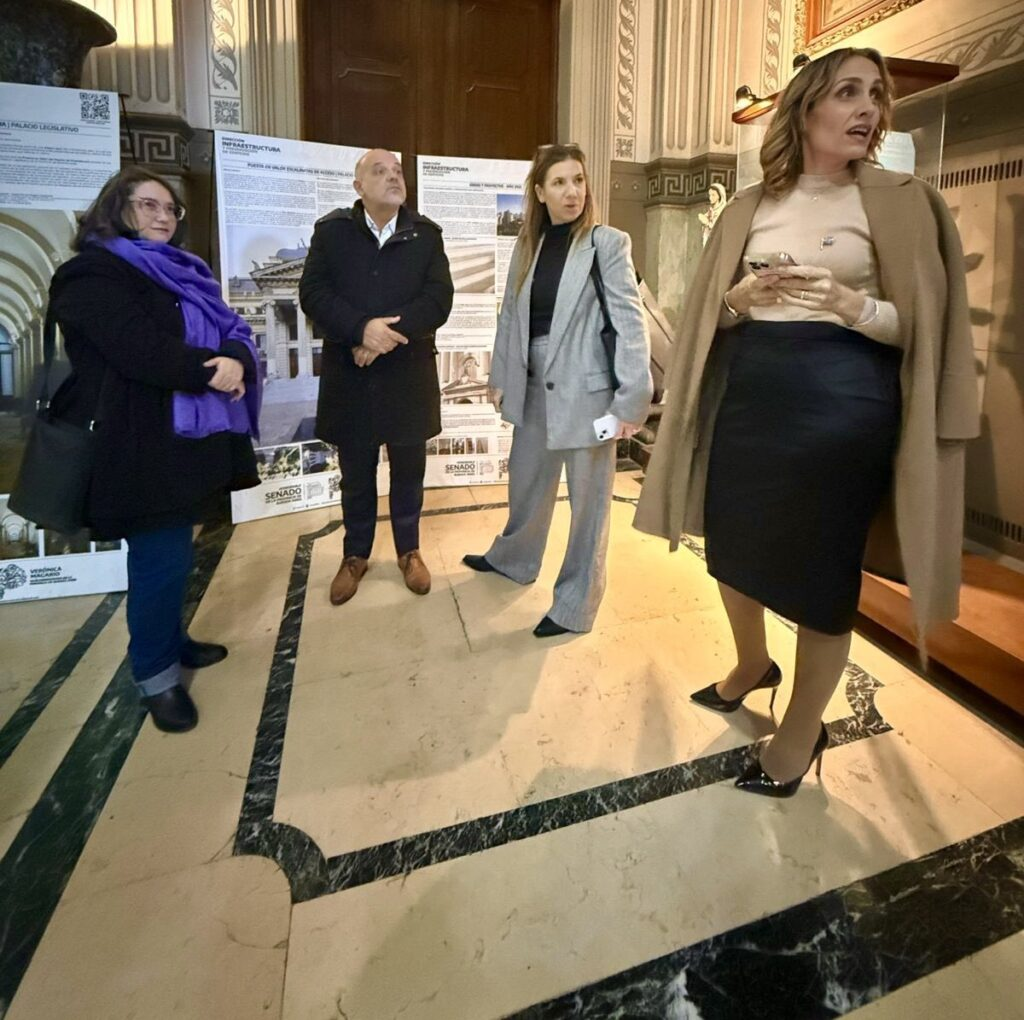 El bloque en el Senado bonaerense de La Libertad Avanza. 