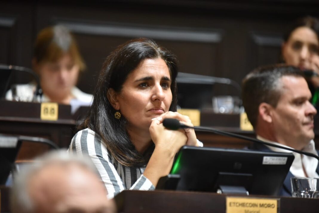 La diputada Maricel Etchecoin volvió a reclamar por una ley para regular los viajes de funcionarios bonaerenses al exterior. Los detalles.