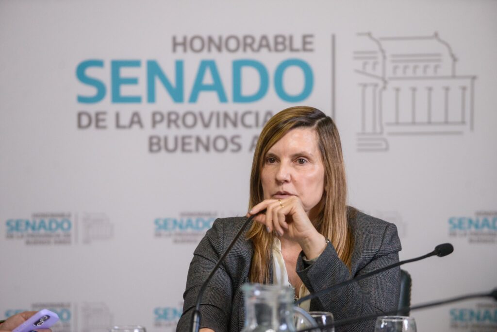 La senadora bonaerense, Gabriela Demaría, ingresó un proyecto para que la venta online exponga la información sobre sus productos.