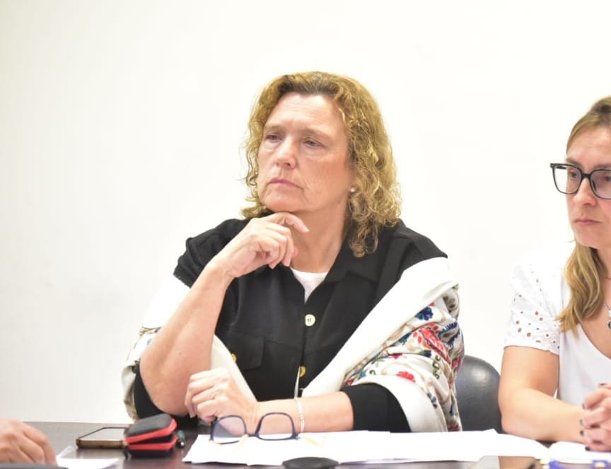 La diputada Anahí Bilbao pidió que el Ejecutivo remite a la Legislatura un relevamiento sobre el registro de casos por fentanilo contaminado.