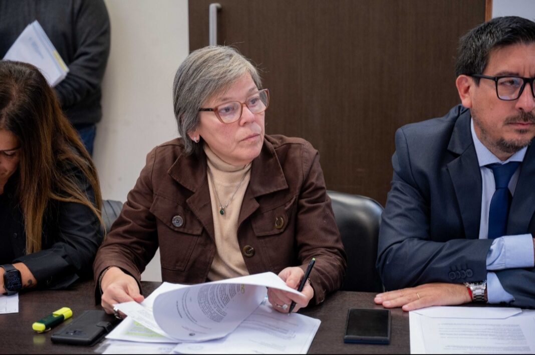La diputada bonaerense del bloque UCR + Cambio Federal, Belén Malaisi, presentó una batería de proyectos y participó de una jornada radical.
