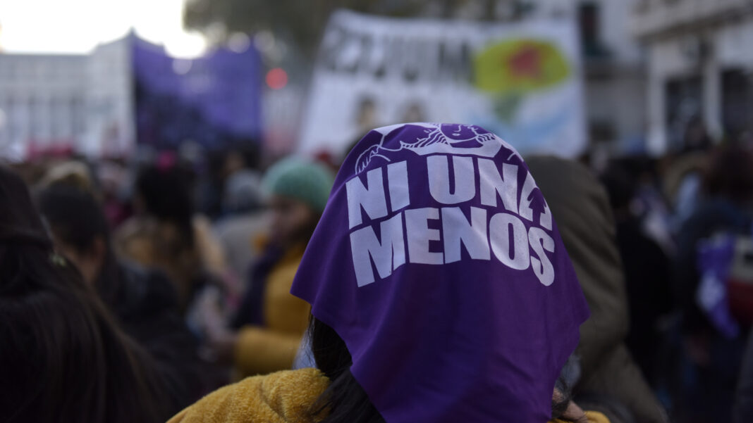 Con motivo del Día Internacional de la Eliminación de la Violencia contra las Mujeres, legisladores bonaerenses reafirmaron su compromiso con las políticas de género.