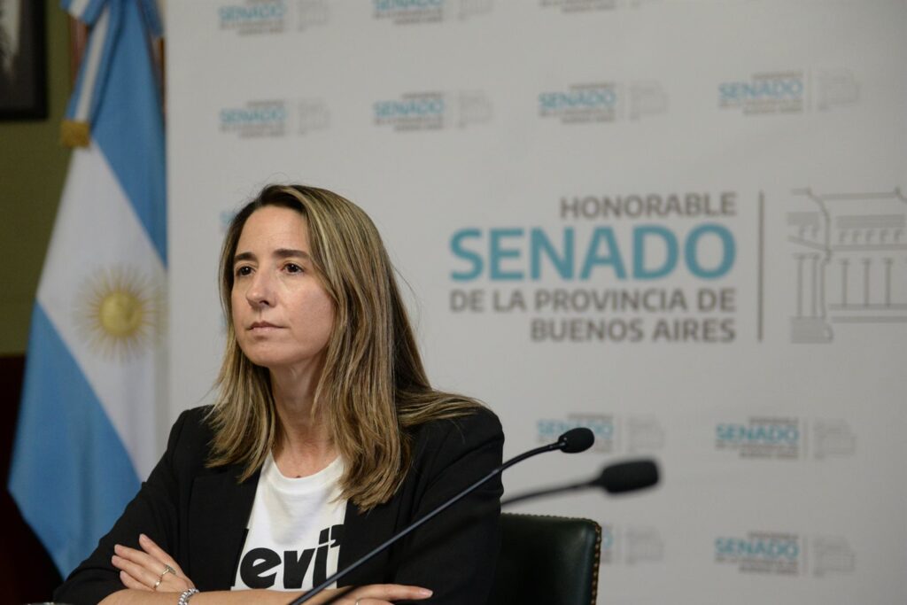 La senadora radical, Flavia Delmonte.