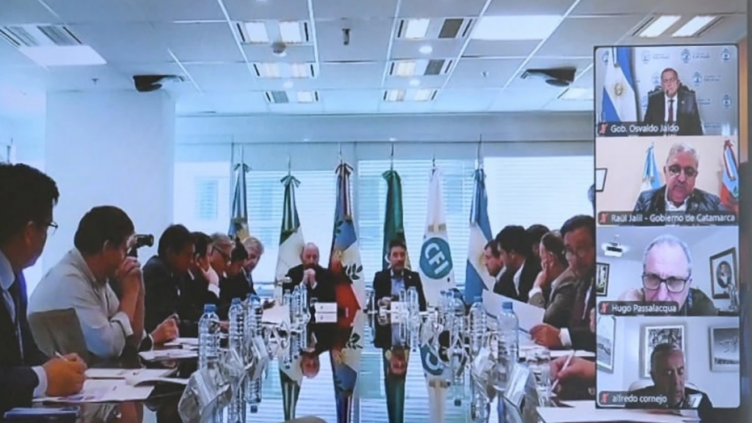 Algunos de los Gobernadores que participaron de la cumbre de líderes provinciales, estuvieron presentes de manera virtual. 