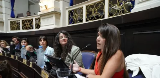La diputada Margarita Recalde manifestó su preocupación por el desguace del Gobierno nacional sobre los organismos culturales.