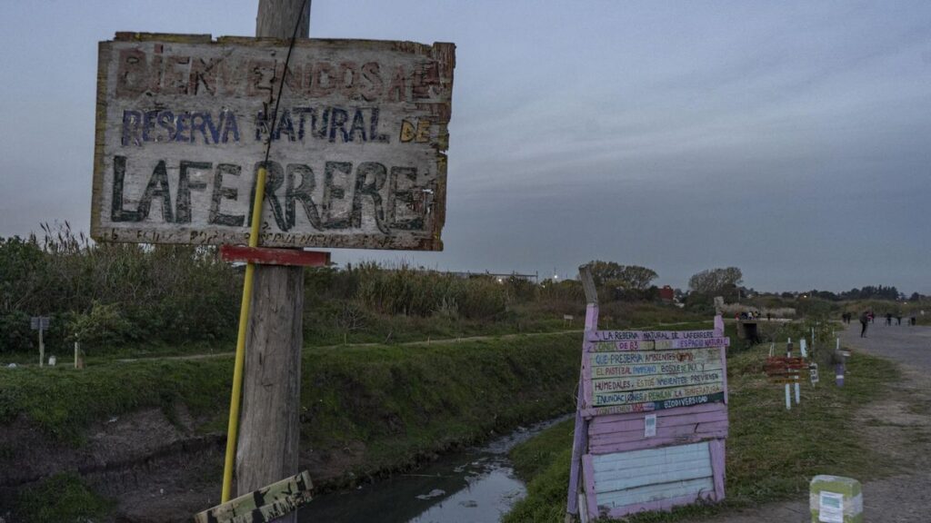 El ex Aeroclub de Laferrere podría ser declarado reserva natural de La Matanza. 