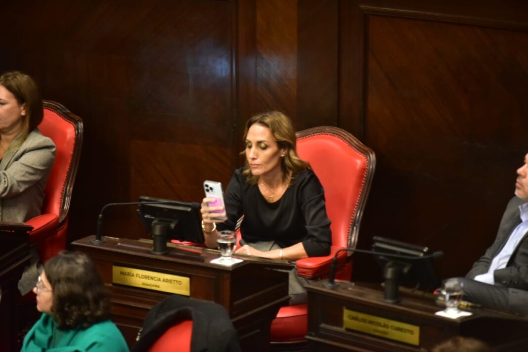 La senadora bonaerense, Florencia Arietto, cuestionó la movilización a Comodoro Py tras la condena a Cristina Kirchner.