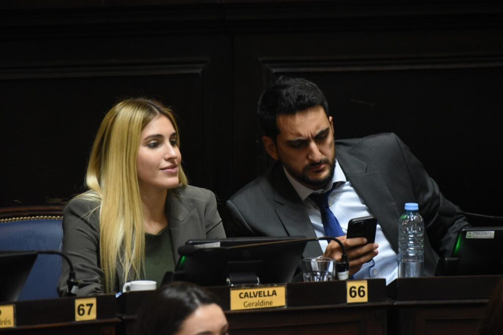 Geraldine Calvella asumió su banca en la Cámara baja en noviembre de 2024, en reemplazo de Alejandro Carrancio.