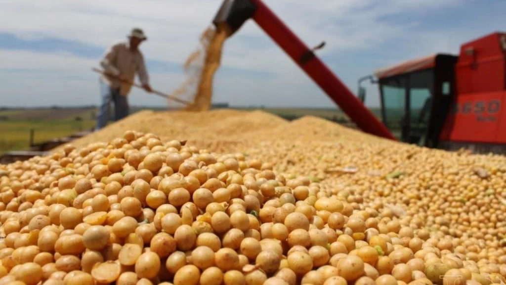 CARBAP y CONINAGRO rechazaron el regreso de las retenciones anunciado por Javier Milei.