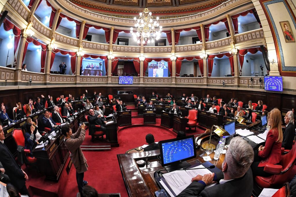 El Senado bonaerense aprobó sobre tablas el proyecto que declara personalidad destacada del deporte a Franco Colapinto.