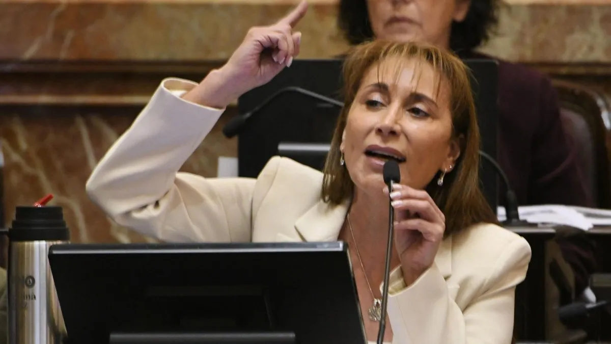 La senadora fueguina de UxP, Cristina López, acusó a Francos de "mentiroso".