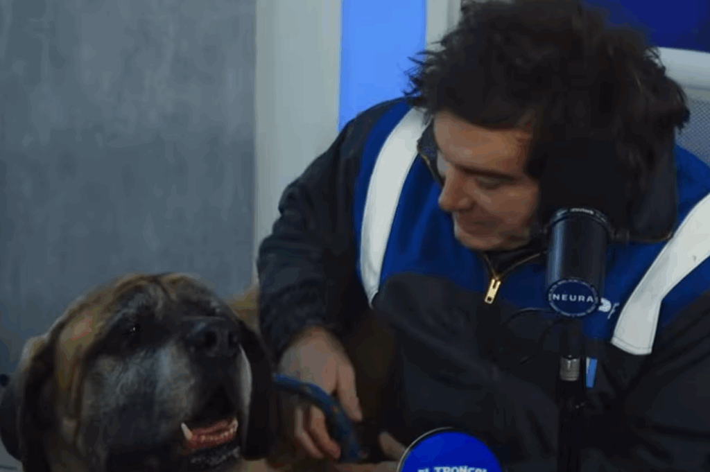 El presidente, Javier Milei, irrumpió en un streaming solidario y dedicó buena parte del diálogo a lanzar duros cuestionamientos políticos.
