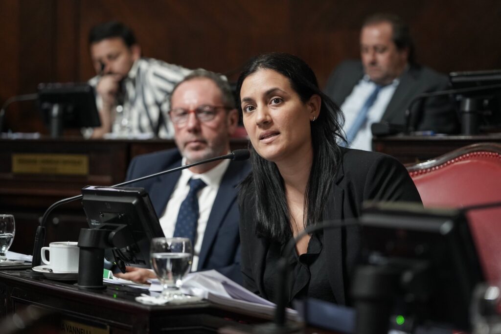 La senadora bonaerense Sofía Vannelli busca fomentar los mecanismos de participación ciudadana a través del referéndum.