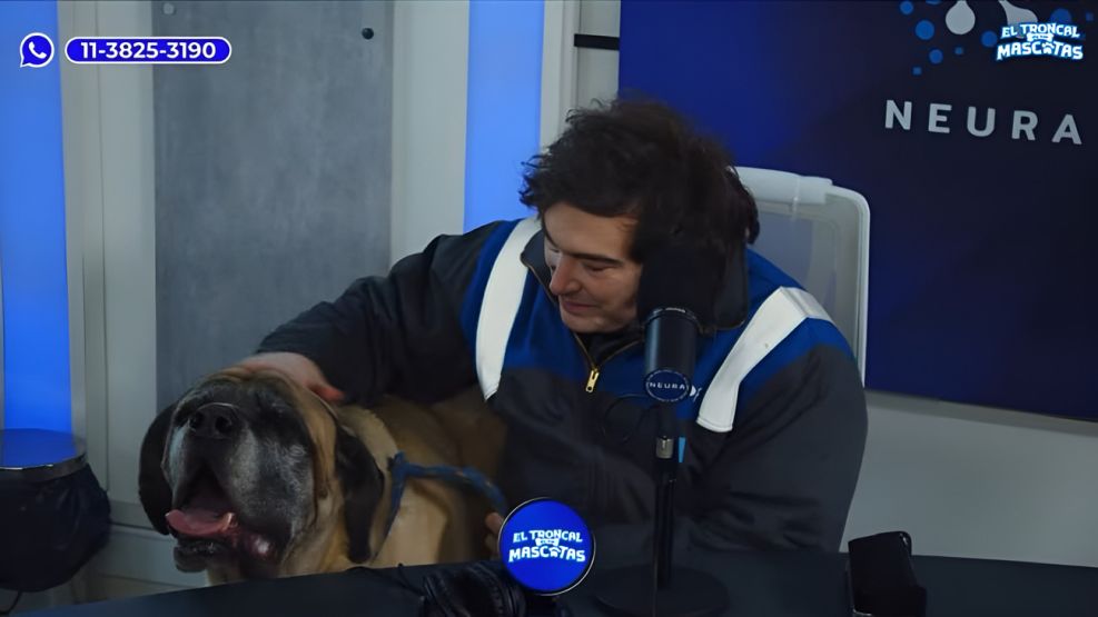 Para la marcha de jubilados, evalúan llevar perros para evitar represión policial.