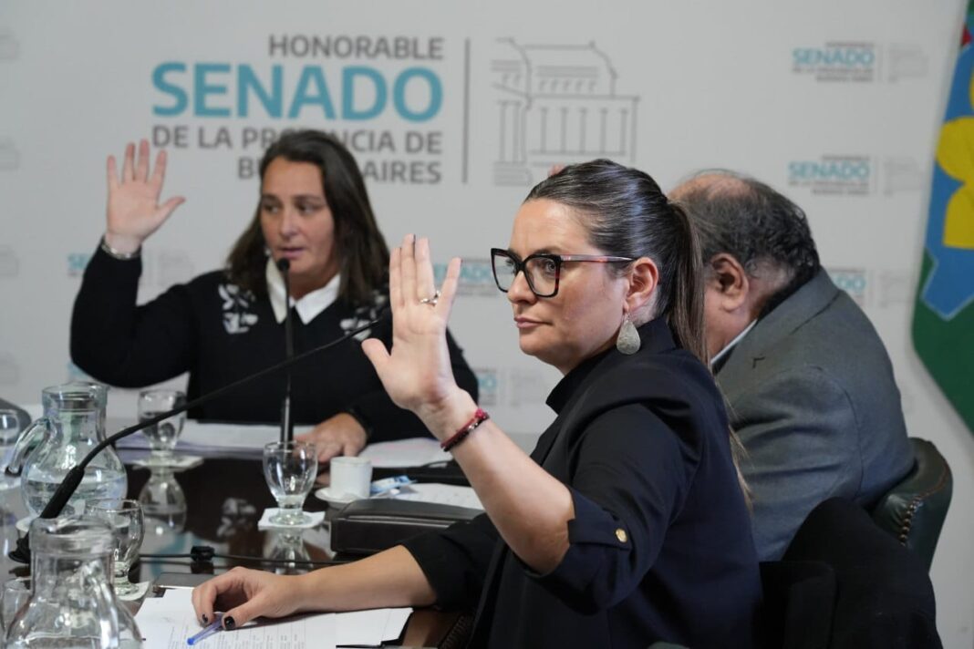 El Senado bonaerense busca adherir al Régimen Federal de Empleo Protegido para mejorar el trabajo en talleres para personas con discapacidad.