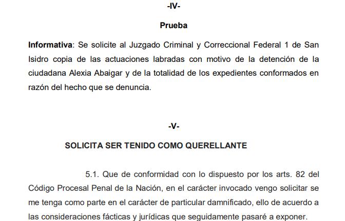 El pedido del diputado Juan Malpeli para ser querellante en la causa.