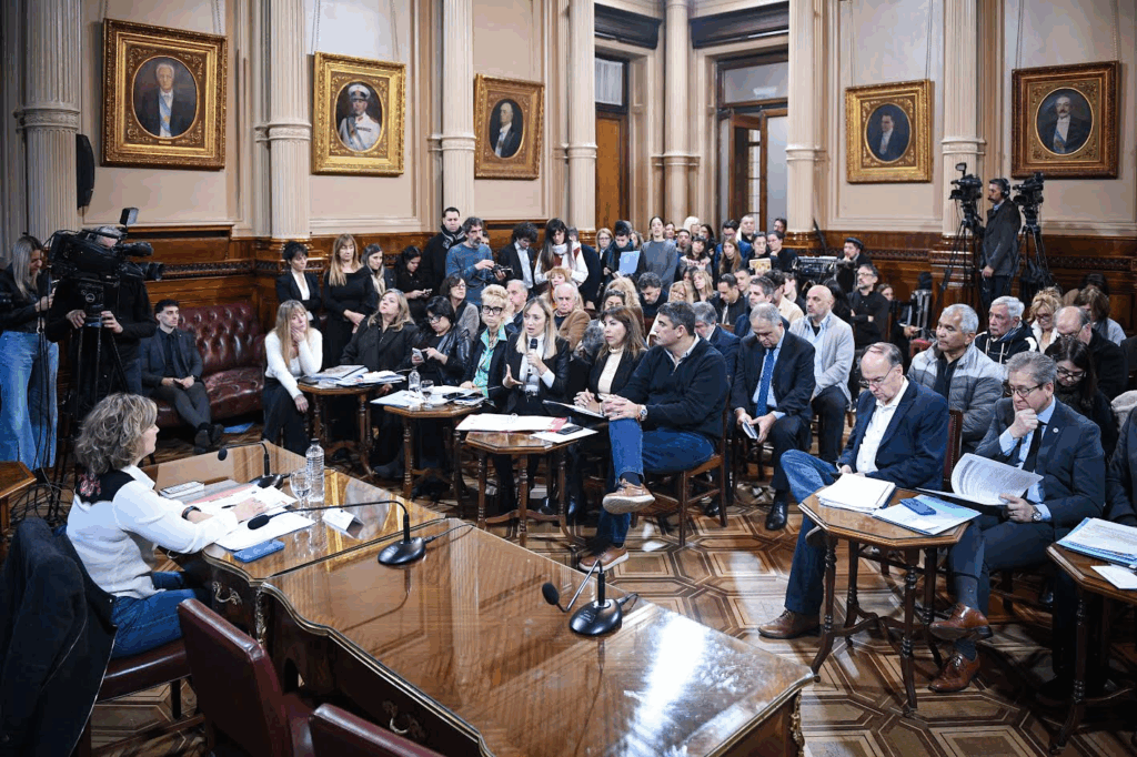 Senadores de la oposición avanzó en comisión con el proyecto que declara la emergencia en discapacidad. 