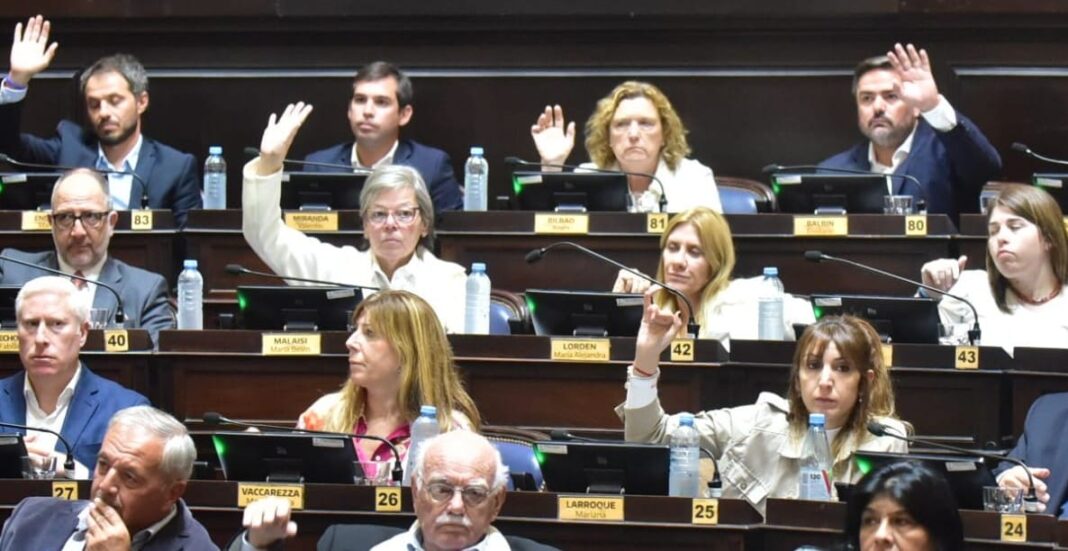 La diputada Belén Malaisi presentó tres proyectos en el que manifestó su rechazo a la disolución de organismos del Estado.